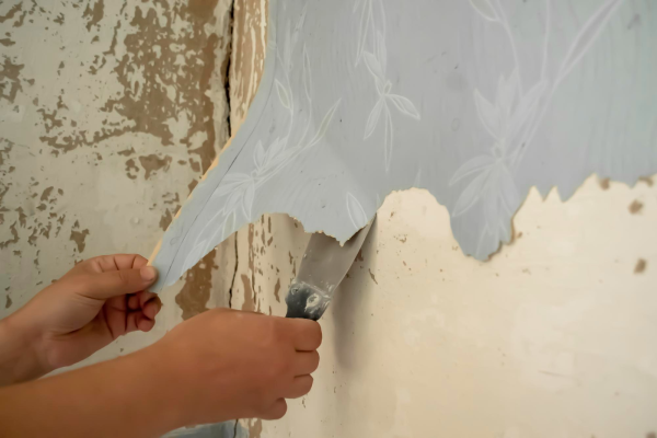 Wallpaper Removal


